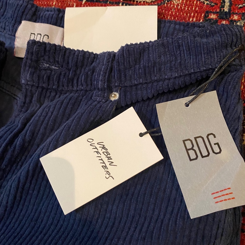 BDG Blue Corduroy wide- leg pants, size 8